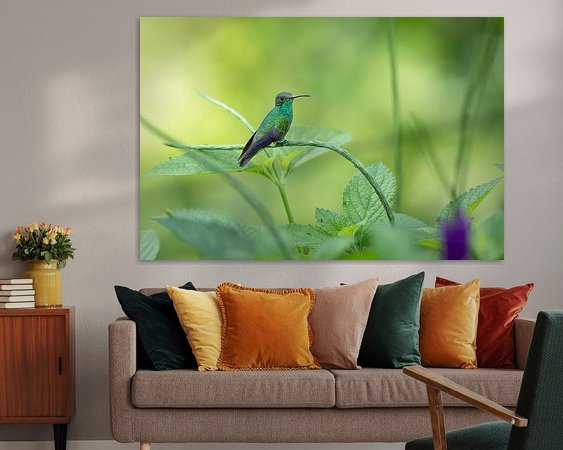 Aperçu de la chambre