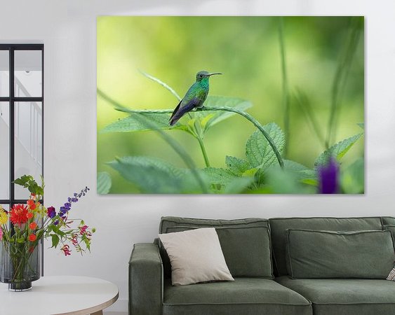 Aperçu de la chambre