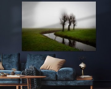 Mist en 3 bomen van peterheinspictures