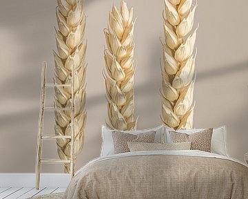 Rural simplicity: Three wheat culms by Marjolijn van den Berg
