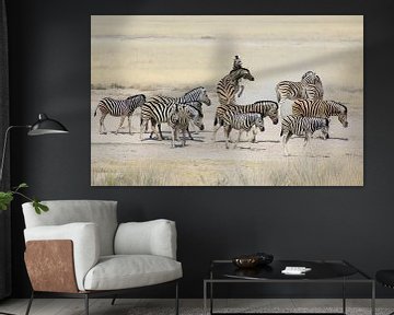 Zebra's in Etosha National Park/ zebra's at Etosha National Park by Marijke van Noort