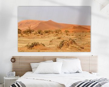 Zandduinen van de Sossusvlei in Namibië/ Sand Dunes at Sossusvlei in Namibië van Marijke van Noort