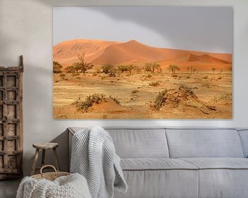 Zandduinen van de Sossusvlei in Namibië/ Sand Dunes at Sossusvlei in Namibië von Marijke van Noort