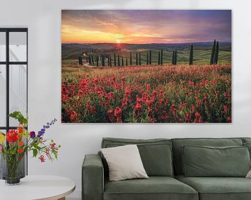 Italië Toscane Agriturismo met cipressen bij zonsondergang van Jean Claude Castor