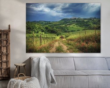 Italië Toscane San Gimignano met wijngaard van Jean Claude Castor