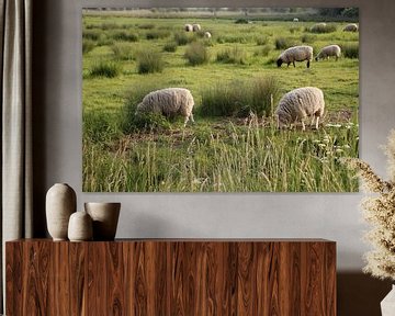 Sheep in the meadow by Vincent Stout