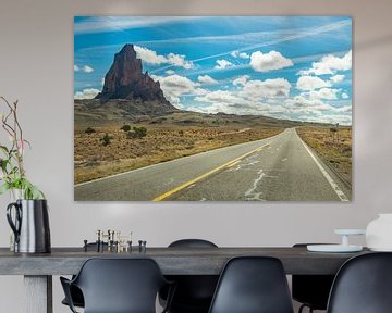 Eenzame rots in monument valley van Heleen Pennings