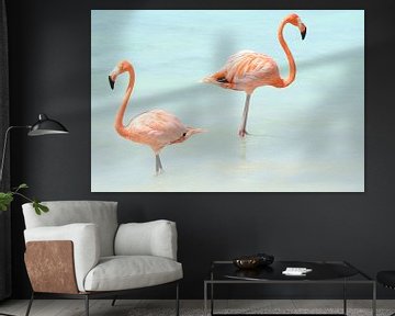 Flamingo's von Willemijn van Donkelaar