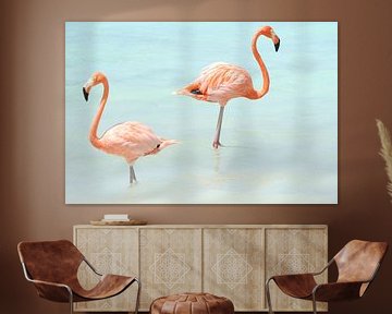 Flamingos by Willemijn van Donkelaar