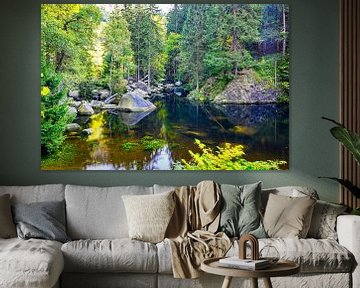 Scenic view of large stones in the river bed on Engagement island in the Oker in the Harz Mountains by Andreas Völkel