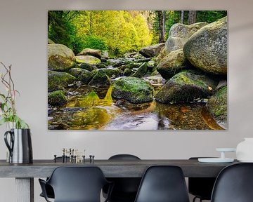 Autumn landscape with the Oker river and Engagement island in the Harz Mountains, Germany by Andreas Völkel