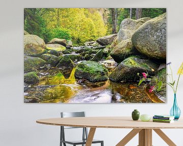 Herfstlandschap met de rivier de Oker en Engagement eiland in de van Andreas Völkel
