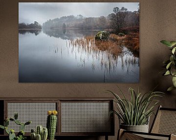 Herfstkleuren bij Loch Trool in Schotland van Michel Seelen