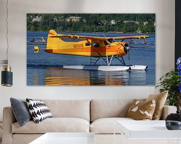 De Havilland Canada DHC-2 Beaver seaplane. by Jaap van den Berg