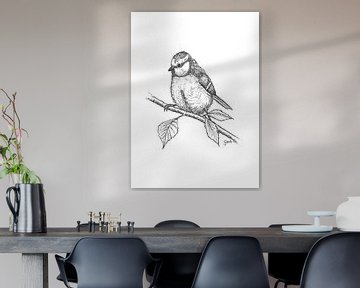 Pimpelmees - zwart-wit tekening van Gert van de Meeberg