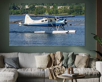 De Havilland Canada DHC-2 Beaver seaplane. by Jaap van den Berg