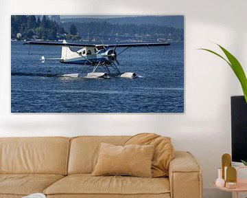 De Havilland Canada DHC-2 Beaver seaplane. by Jaap van den Berg