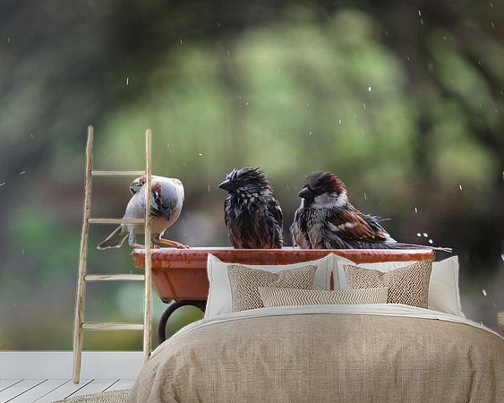 Example of the artwork in a room