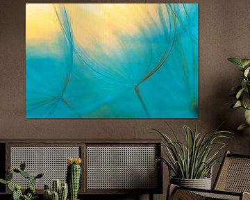 Colourful image of the fluff of the Yellow Morning Star.