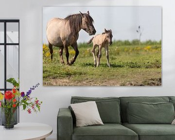 Paarden | Konikpaard merrie en pasgeboren veulen Oostvaardersplassen