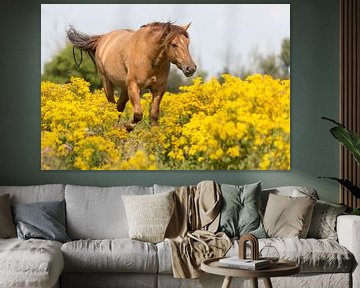 Paarden | Rossig konikpaard door het geel Oostvaardersplassen van Servan Ott