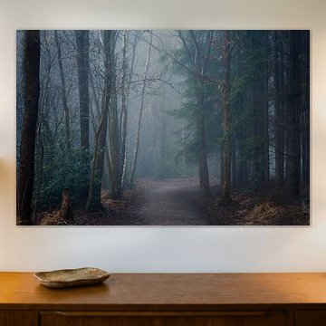 Moody bospaadje in Oranjewoud