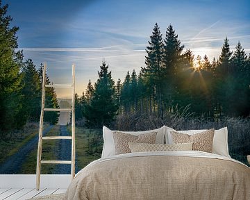 Sonnenuntergang beim Wandern im Harz von t.ART