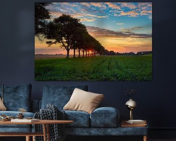 Sunset in the Dutch polder by eric van der eijk