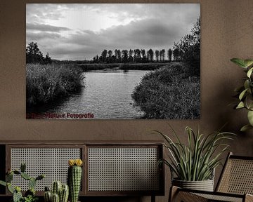 le lac en noir et blanc