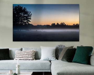 Nevel bij zonsondergang van Erwin Pilon