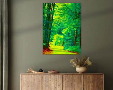 Pad in het bos zeer kleurrijk in de zomer.