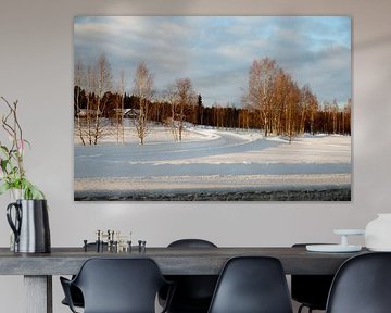 Lappland (Finnland) von Rene Verschuren