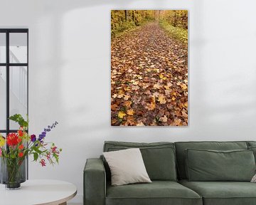 A trail in autumn by Claude Laprise