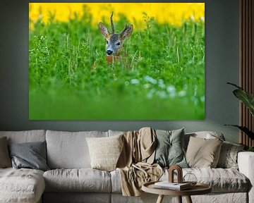 Oude reebok in een weiland met bloemen en kruiden op een zomerochtend van Mario Plechaty Photography