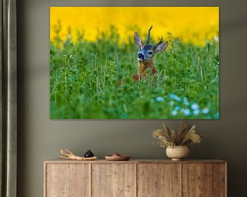 Oude reebok in een weiland met bloemen en kruiden op een zomerochtend van Mario Plechaty Photography