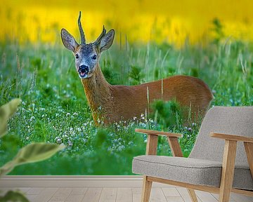 Oude reebok in een weiland met bloemen en kruiden op een zomerochtend