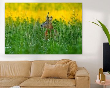 Oude reebok in een weide met bloemen en kruiden op een zomerochtend in Duitsland van Mario Plechaty Photography