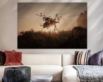 A moment of peace by Evita Medendorp
