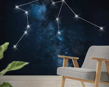 De Waterdrager: Waterman Sterrenbeeld Poster van Himler Razan