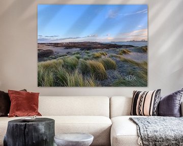 Duin gebied Hoek van Holland van Beachlines and colors SdK