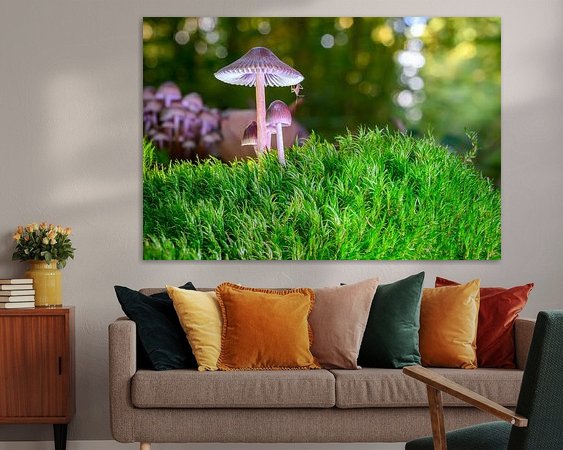 Aperçu de la chambre