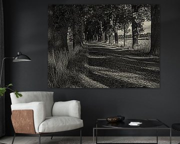 Mystische Allee von Katrin May
