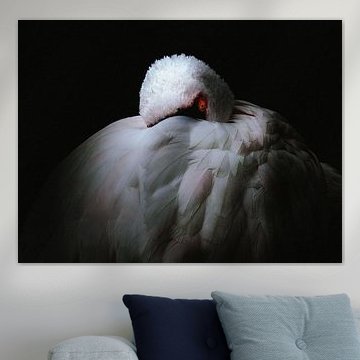 Der Flamingo beobachtet Dich