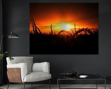 Zonsondergang in het tarweveld van Marc Lehmann