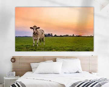 Sunny Cow by Chris Snoek