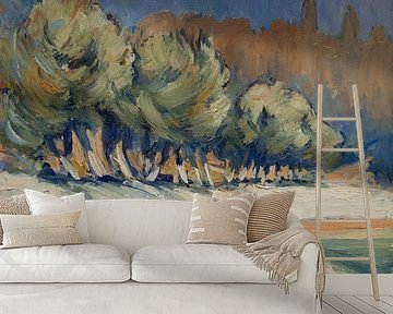 Olijfbomen langs het Marmari Strand op Paxos