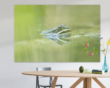 Grüner Frosch von Steffie van der Putten