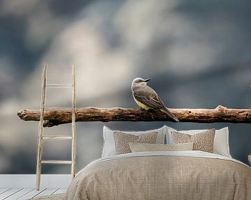 Rest on the Branch Bird in Harmony
