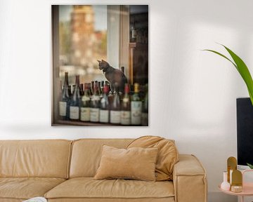 Boris by Amsterdam Pixels
