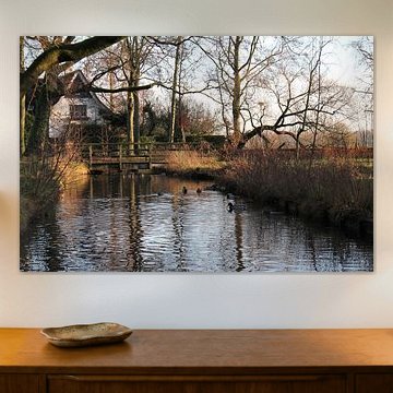 Ein Spaziergang durch den Park